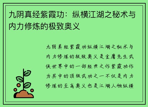 九阴真经紫霞功：纵横江湖之秘术与内力修炼的极致奥义