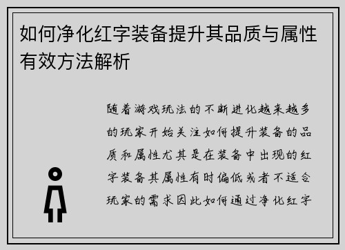 如何净化红字装备提升其品质与属性有效方法解析